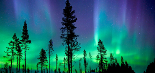 Northern Lights